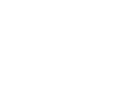 ESSEC Alumni -w