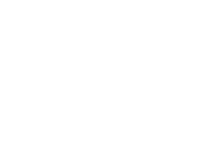 Ilium Partners -w