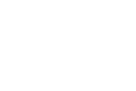 Logo la Boule Bleue